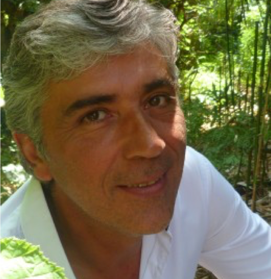 alain-543×560 alain-543x560