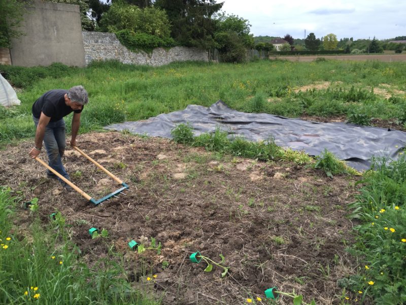 Sol, plantation, biodiversité