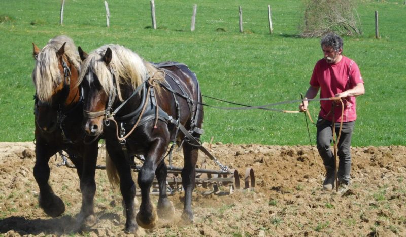 Utilisation agricole / labour